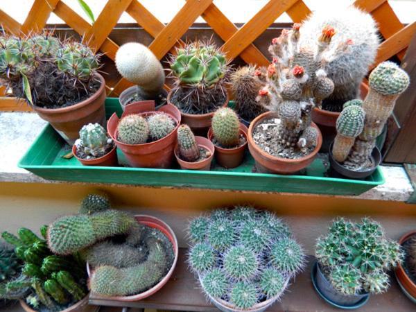 Abitazione Pigneto B&B Roma Ngoại thất bức ảnh